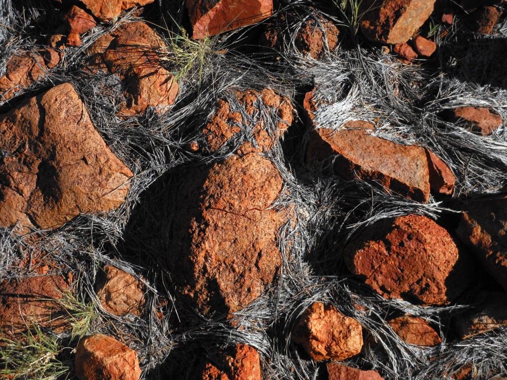 2014-06-04 - 160 - Kata Tjuta - Red rocks and silver grass